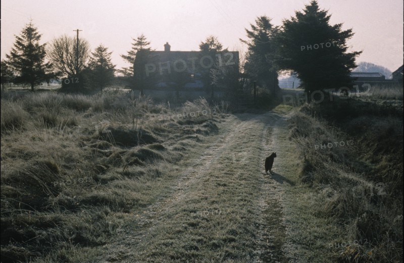 Cloonlara winter, County Mayo