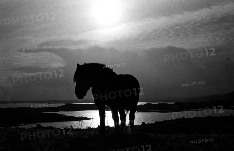 Overlooking Lough Conn, County Mayo