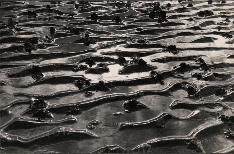 Ripples in sand