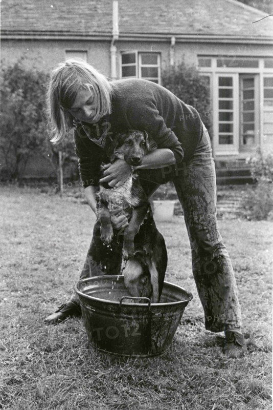 Washing dog