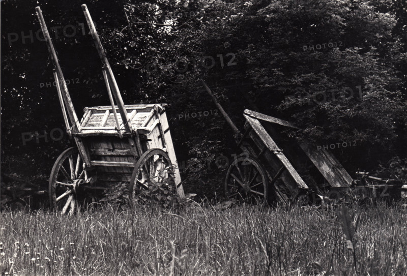 Farm carts, Allenstown, Tallaght, Dublin