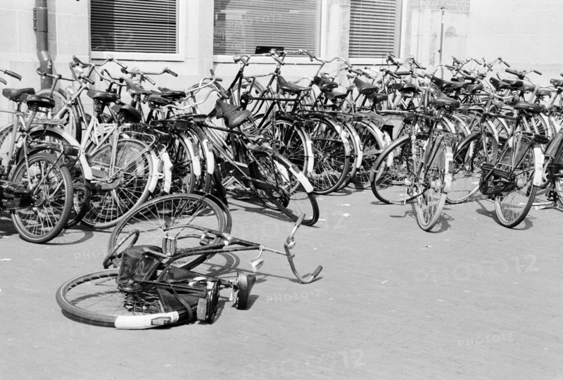 Vélos garés en grand nombre sur une place, un vélo à terre au premier plan. Haarlem, Pays-Bas.
1999