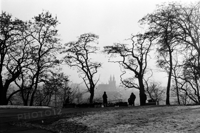 Alignement d'arbres nus dans la brume, avec la silhouette de la ville au loin et quelques promeneurs. Prague, République tchèque.
2001