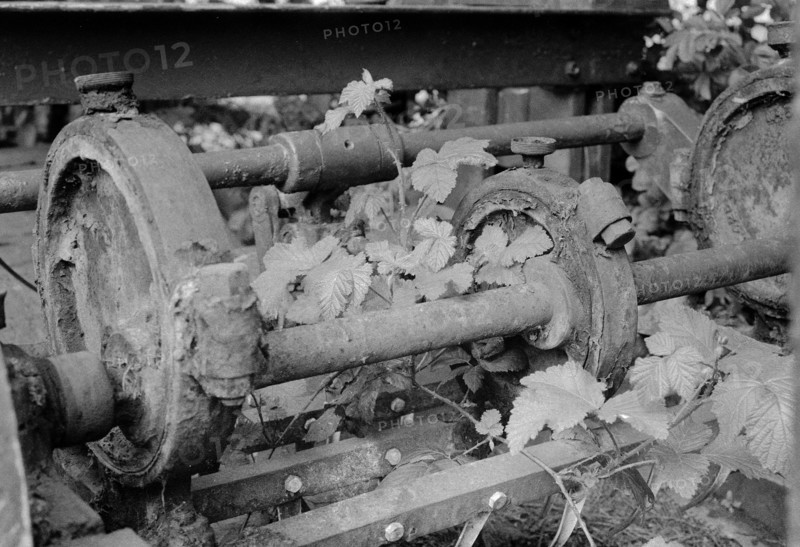 Discarded rusty machinery overgrown with vegetation. Foxford Woollen Mills, Foxford, County Mayo, Ireland.
2000