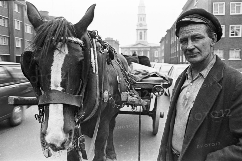 Coal delivery, Hardwicke Street. Dublin