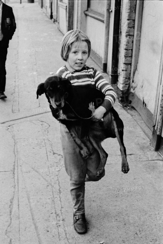 Boy with dog, Dublin