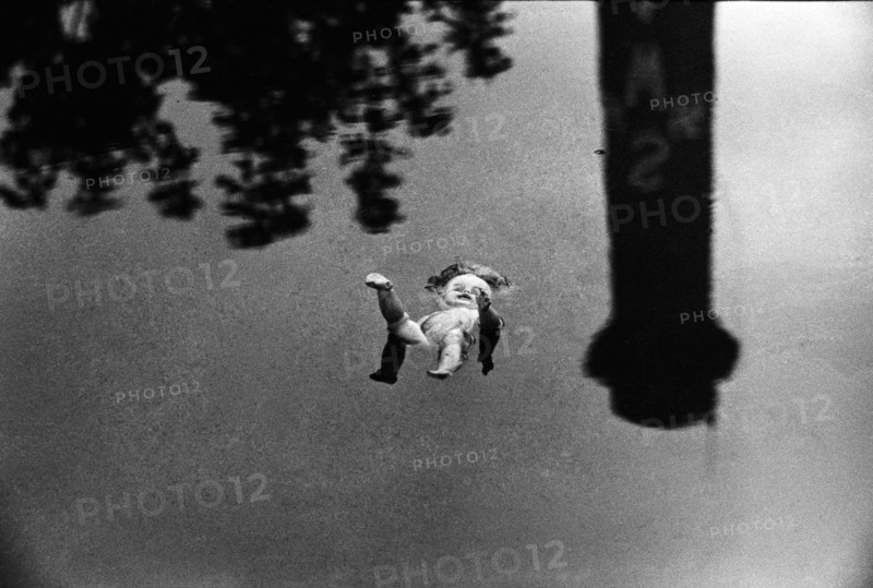 Doll in Dodder