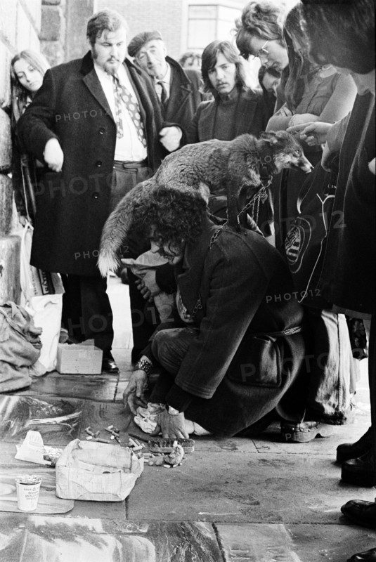 Street artist with fox, Dublin