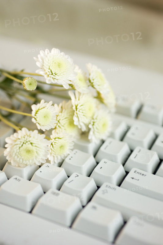 Still life of flowers on a computer keyboard.