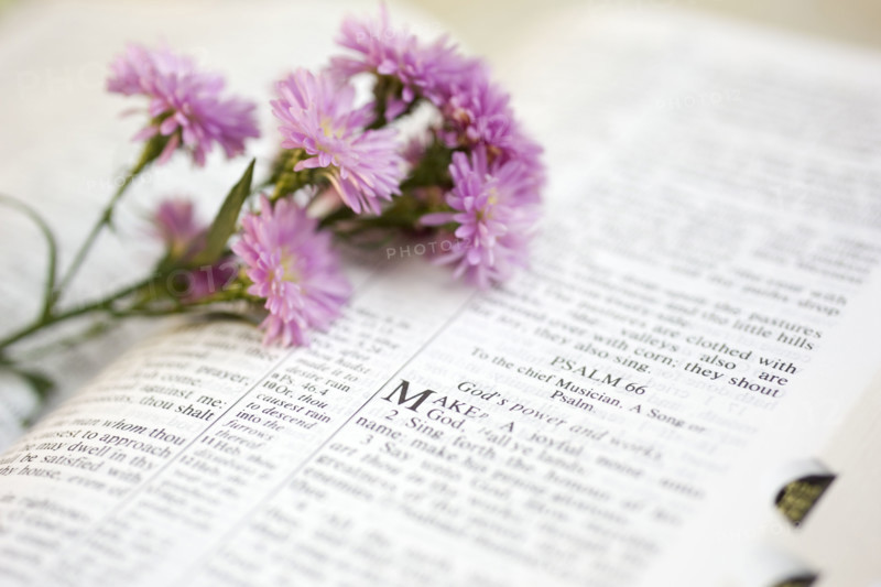 Flowers on a Bible open to the book of Psalms.