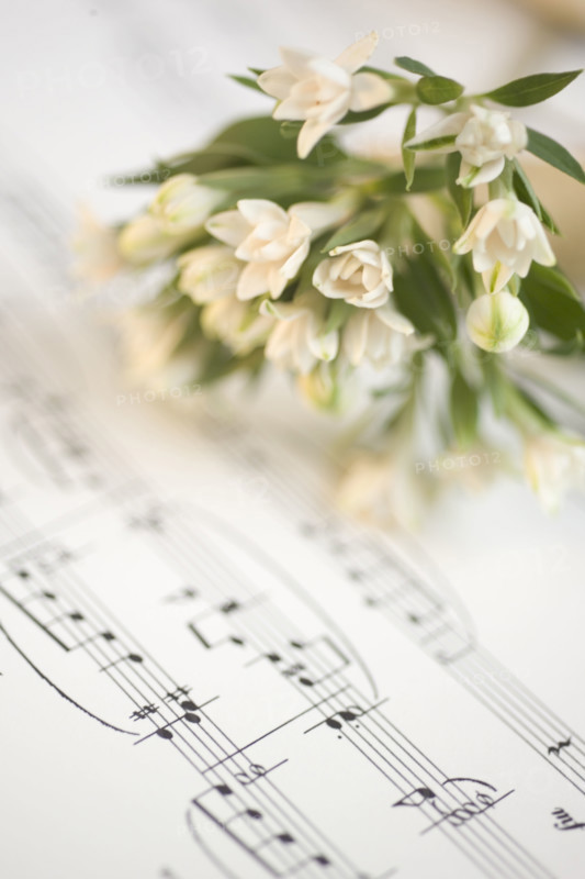 Still life of flowers and sheet music.