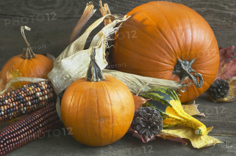 Nature's autumn harvest.