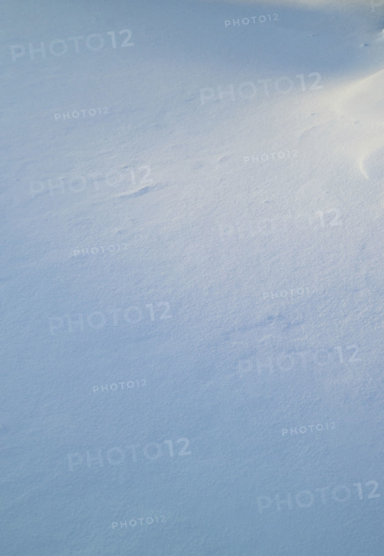 Closeup of fresh snow on ground.