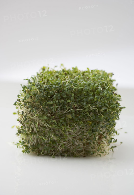 Cube of sprouts.