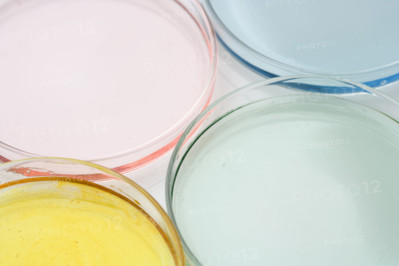 Closeup of petri dishes with liquid.