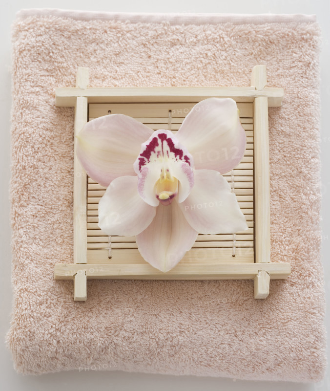 Still life of orchid on terry cloth.