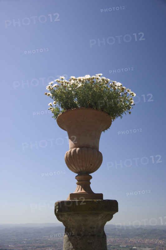 Flower pot Florence Italy.