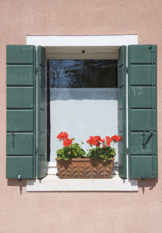 Window box Torcello Italy.