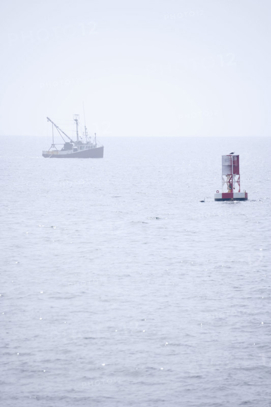 Lobster boat in fog off the Maine coast.