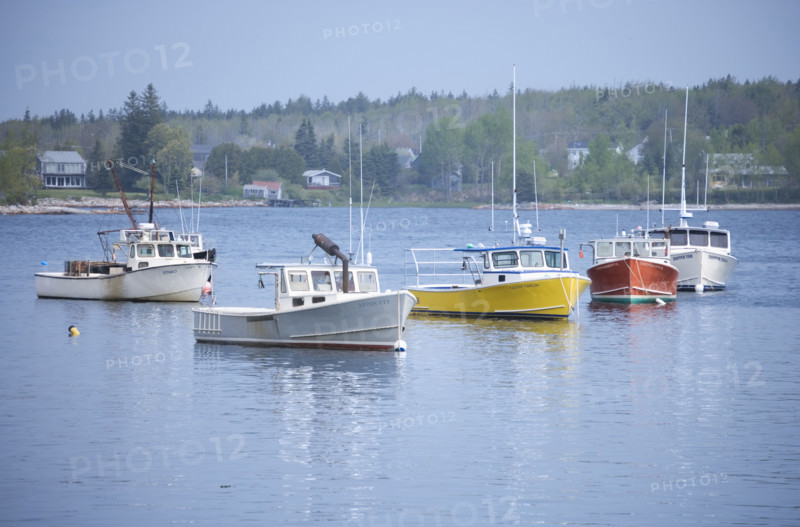 Lobster boats in a Maine harbor.