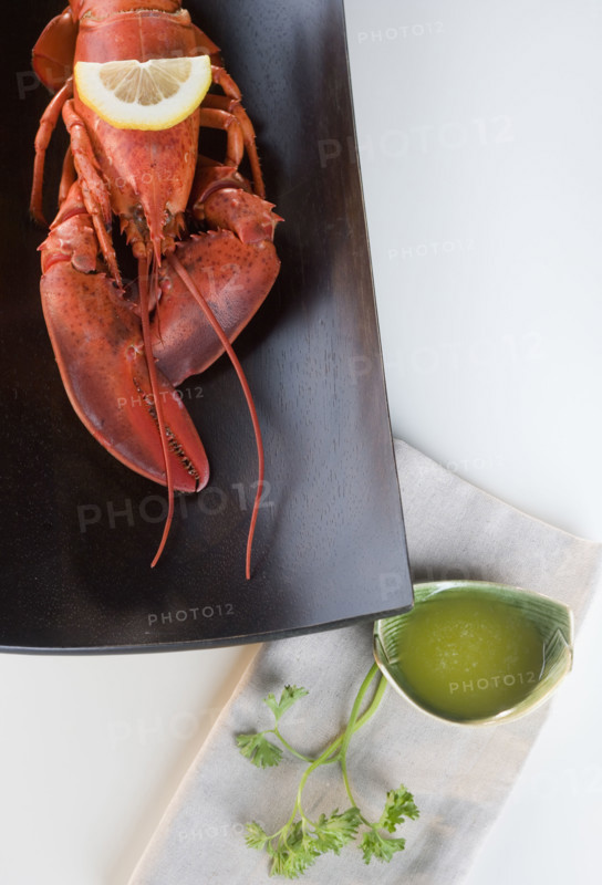 Still life of a lobster.