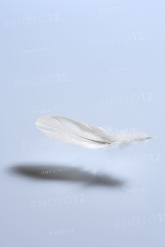 Feather falling.
