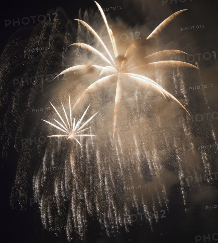 Fireworks in the night sky.