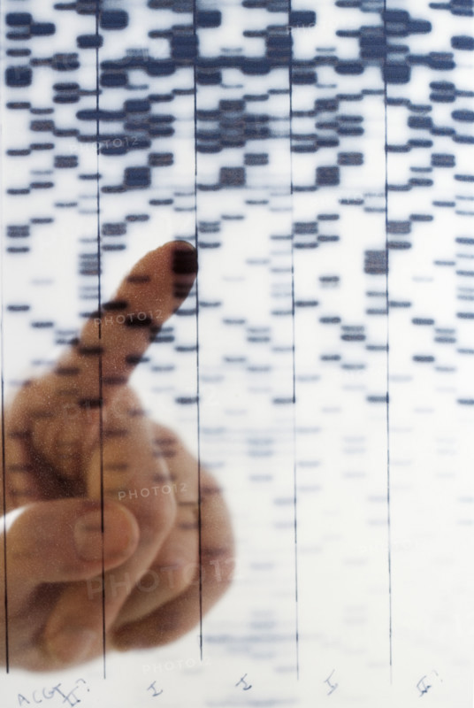 Hand pointing at DNA transparency.