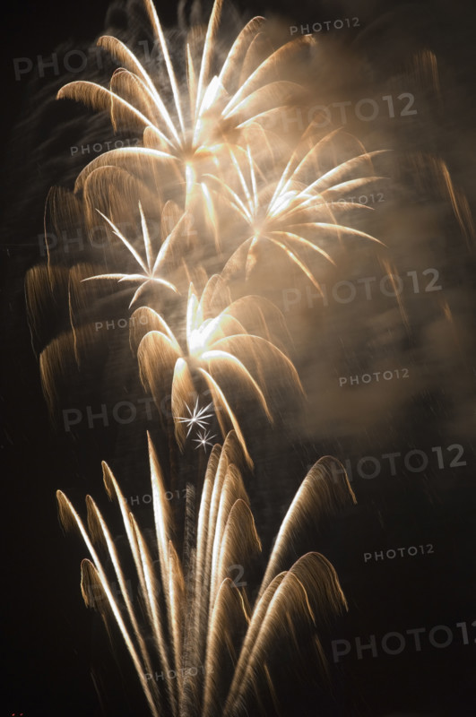 Fireworks in the night sky.