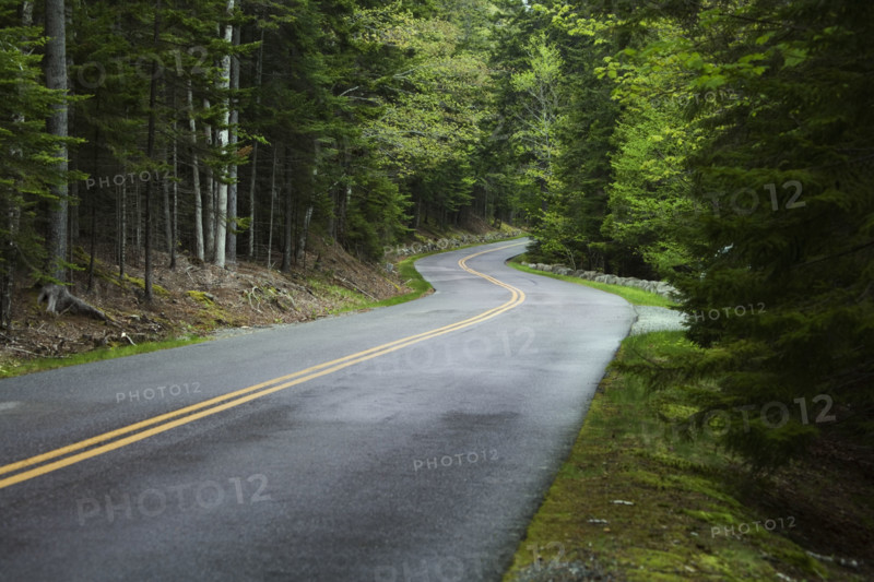 Country road in Maine.