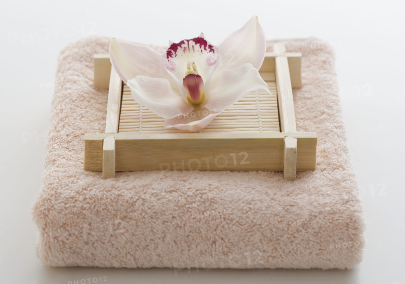 Still life of orchid on terry cloth.