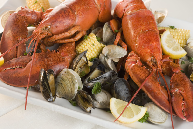 Still life of lobster and clams.