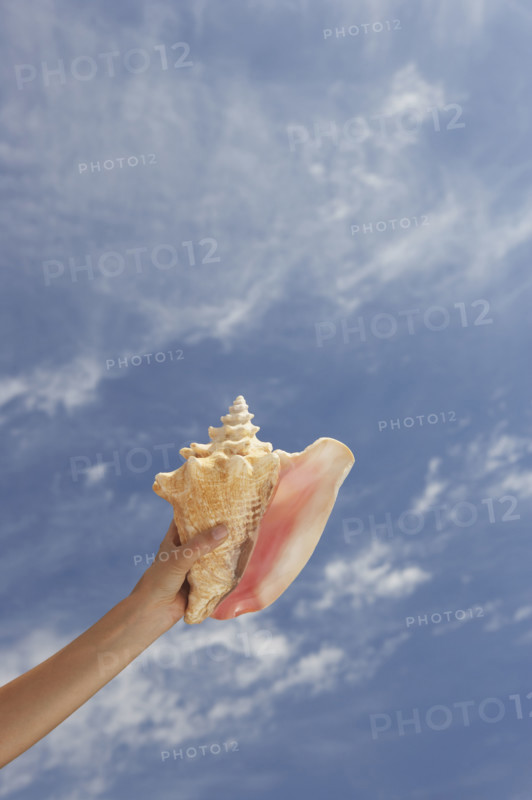 Hand holding conch shell with sky.