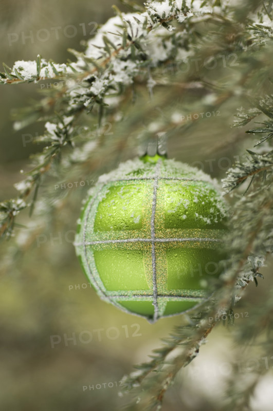 One Christmas ornament hanging in tree.