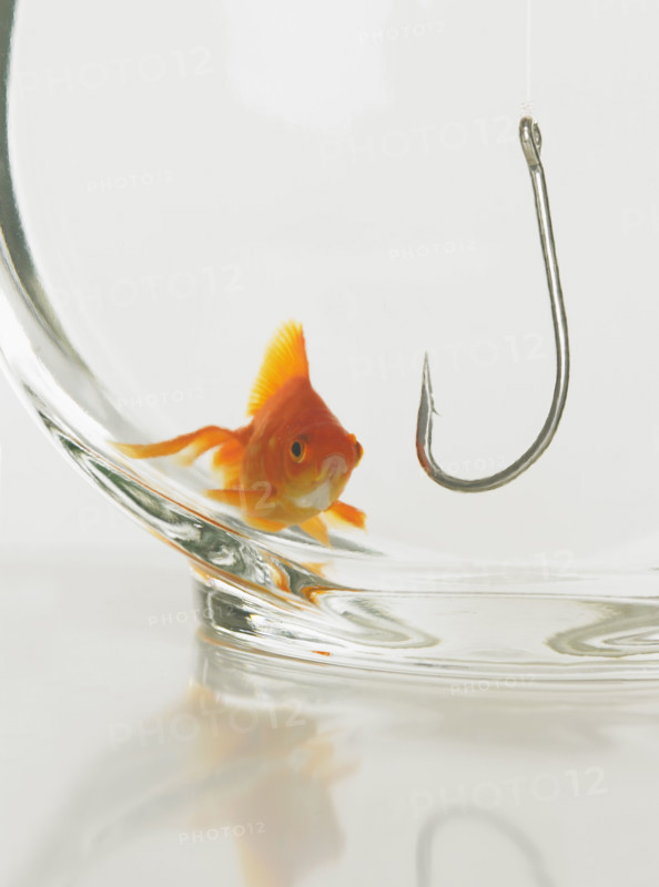 Goldfish in fishbowl with hook.