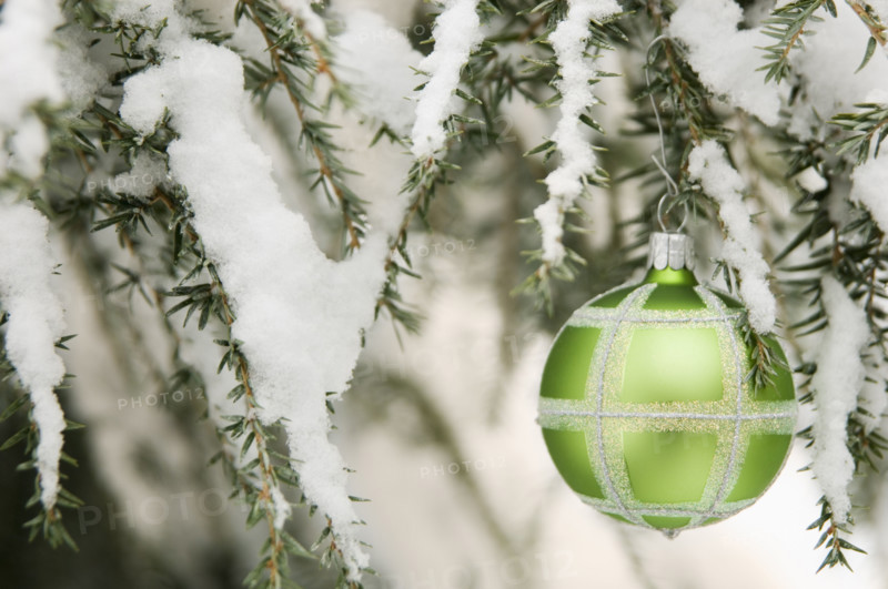 One Christmas ornament hanging in tree.