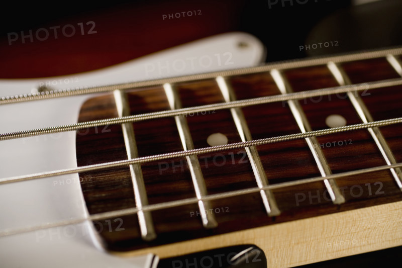 Strings on a bass guitar.