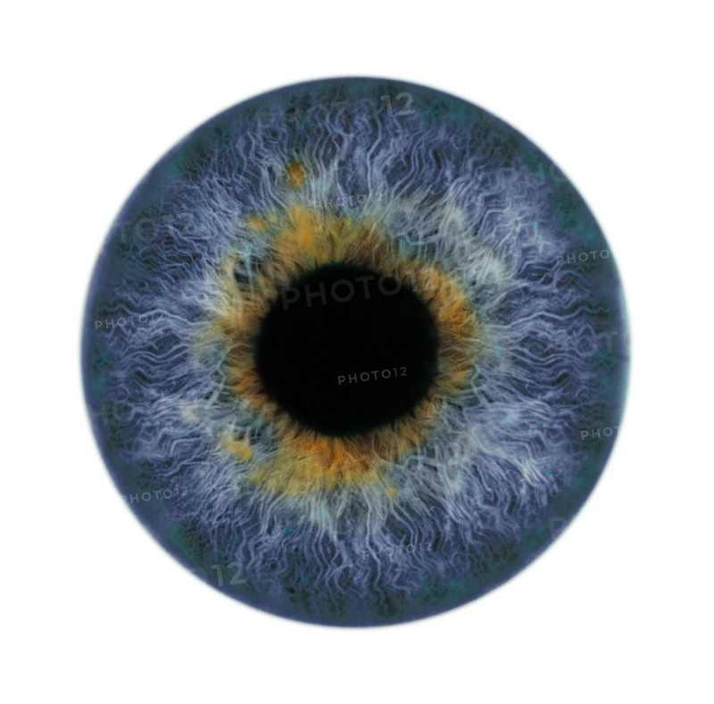 Extreme closeup of a human eye.