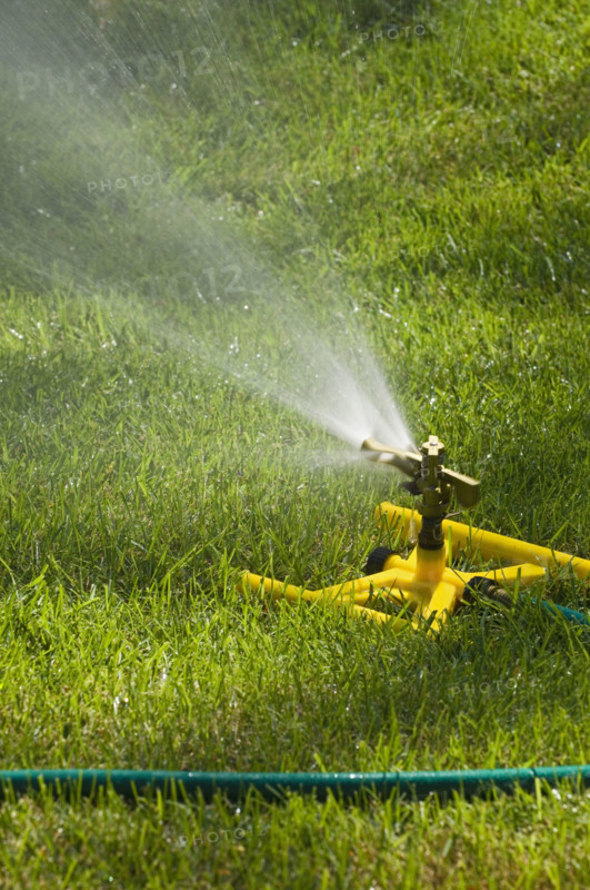 Sprinkler on a green lawn.