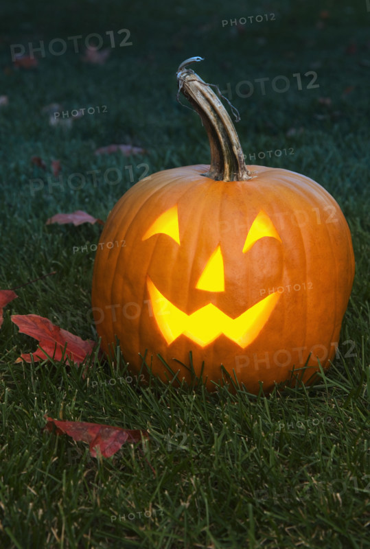 Still life of a jack o lantern.
