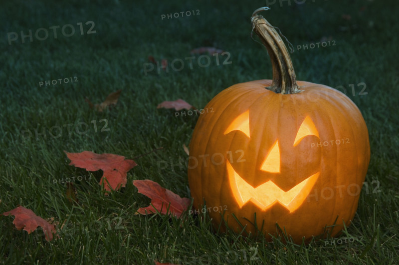 Still life of jack o lantern.