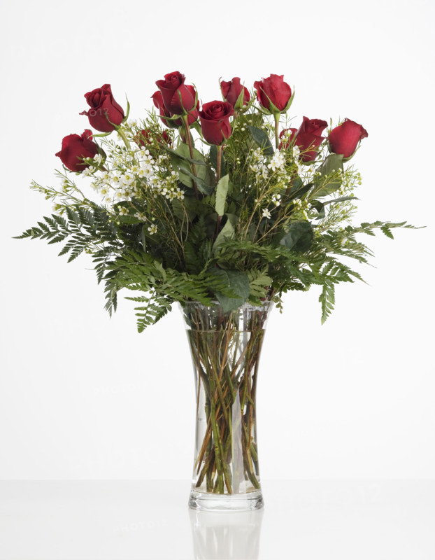 Still life of red roses.