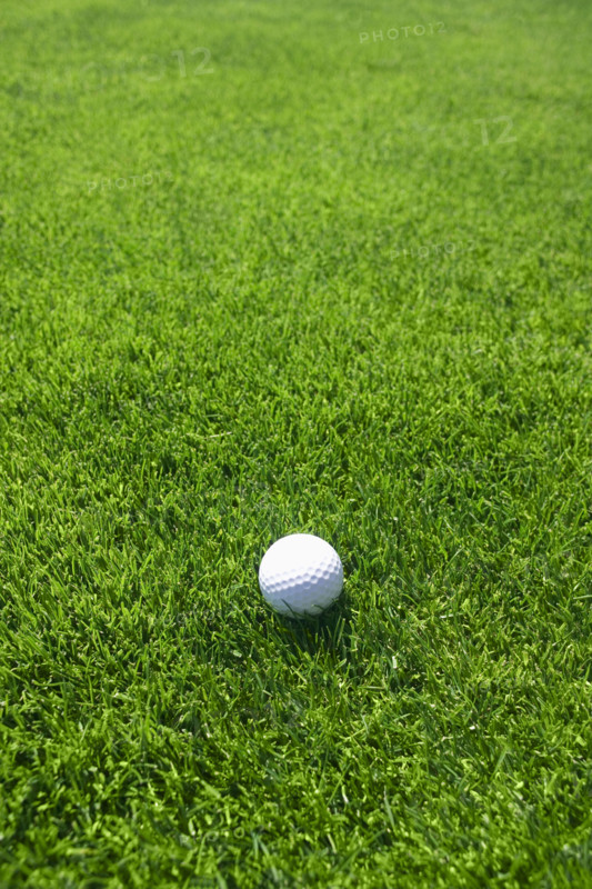 Golf ball on green grass outdoors.