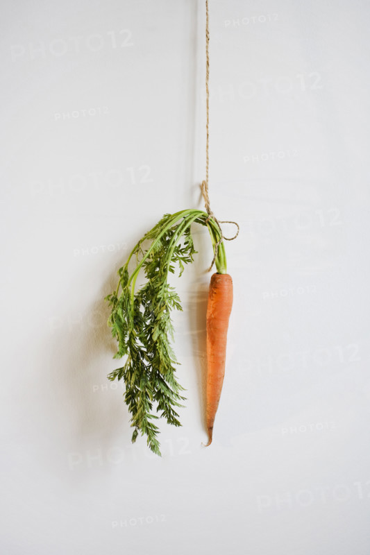 Studio shot of carrot hanging by string on the wall.