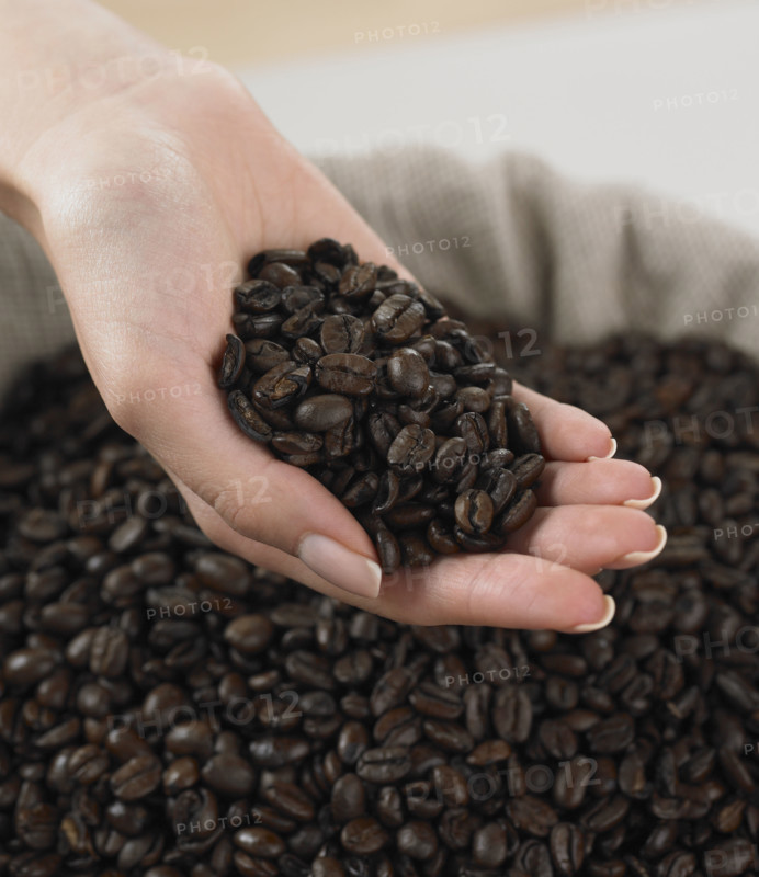 Close up of woman's hand holding coffee beans.