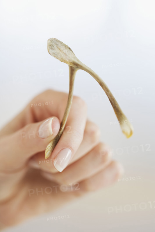 Close up of woman holding wishbone.