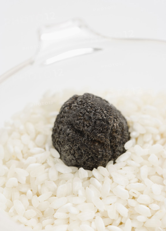 Close up of black truffle in rice.