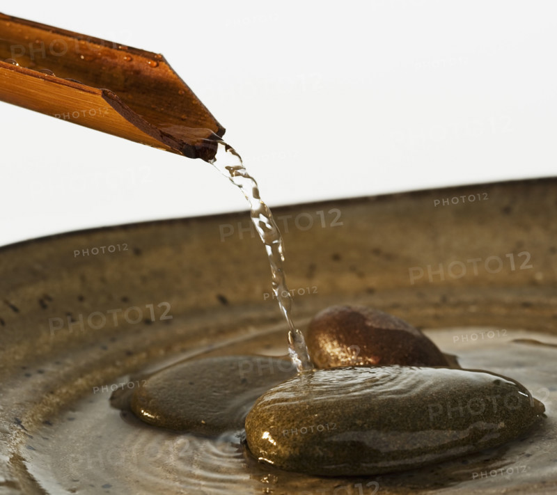 Water pouring out of plant stalk into bowl with stones.