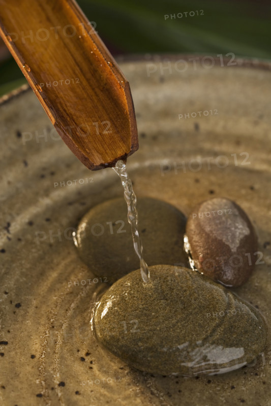Water pouring out of plant stalk into bowl with stones.