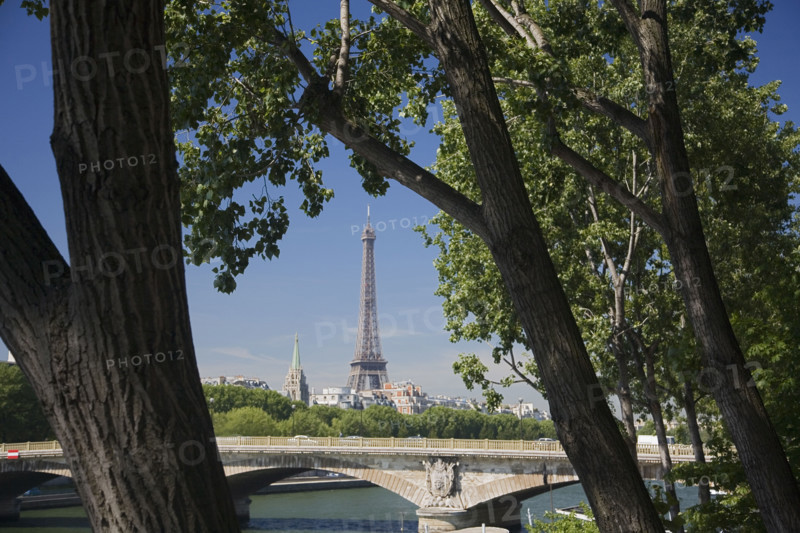 View through trees to Eiffel Tower.